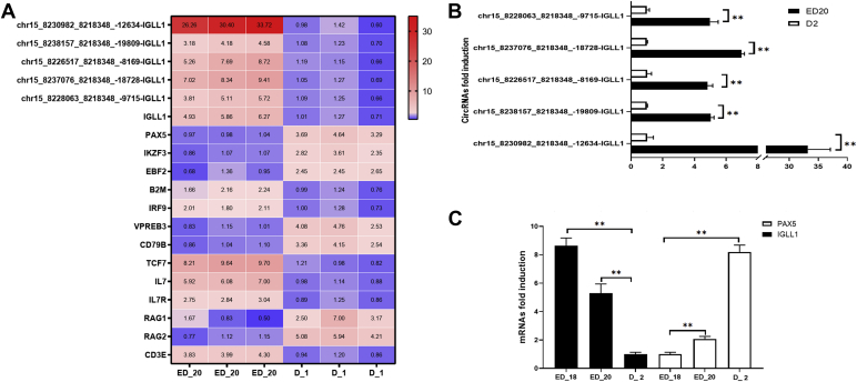 Figure 4