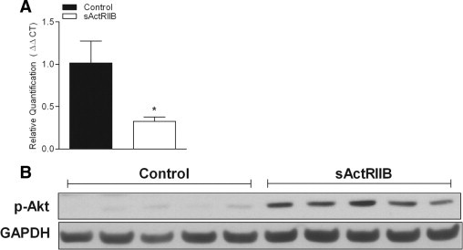 Supplementary Figure S1