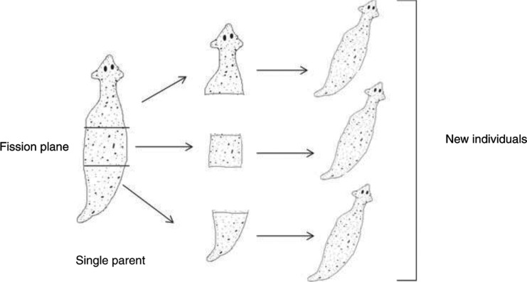 Figure 1: