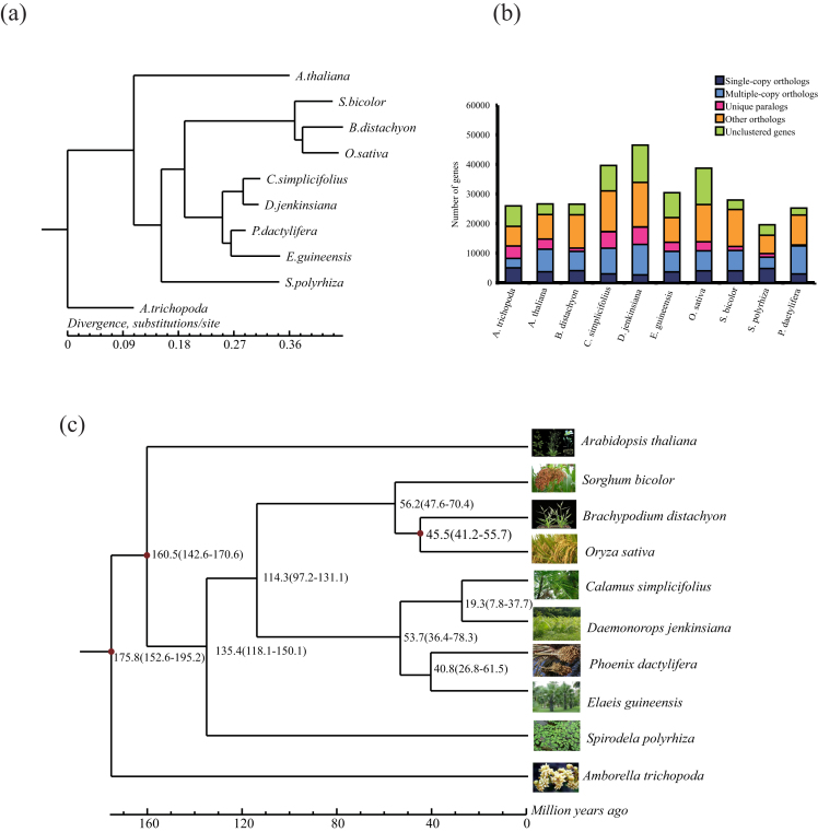 Figure 4: