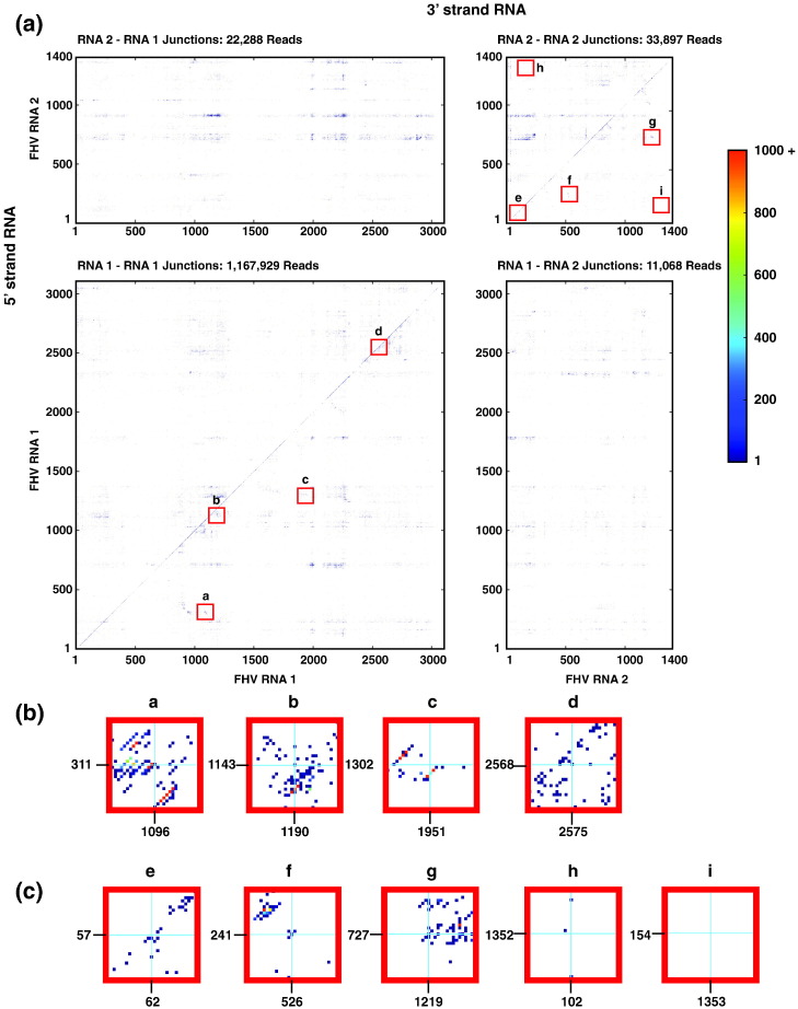 Fig. 2