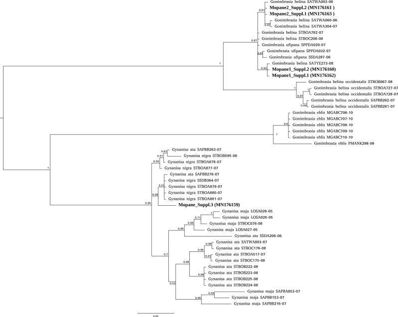 Figure 1