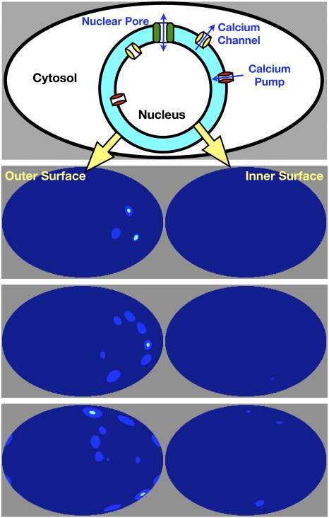 Fig. 2.