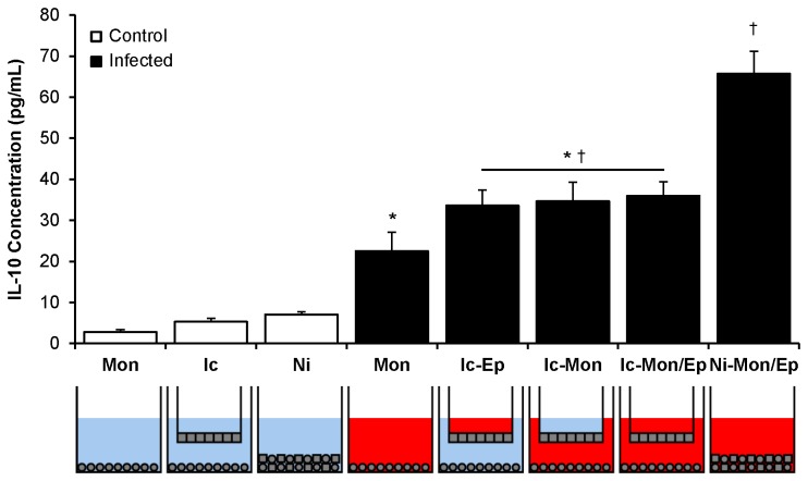 (Mon = monocyte, Ic = insert-containing, Ni = no insert dual co-culture, Ic-Ep = insert-containing uroepithelial infected, Ic-Mon = insert-containing monocyte infected, Ic-Mon/Ep = insert-containing monocyte and uroepithelial infected, Ni-Mon/Ep = no insert monocyte and uroepithelial infected).