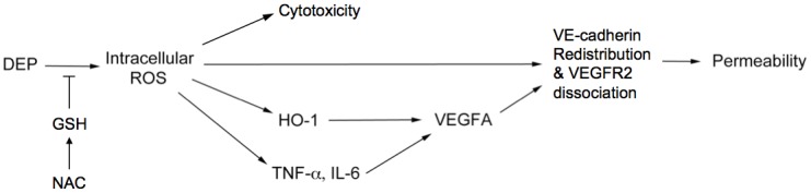 Fig 8