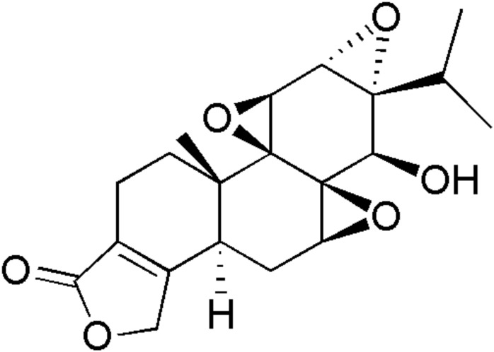 FIGURE 1