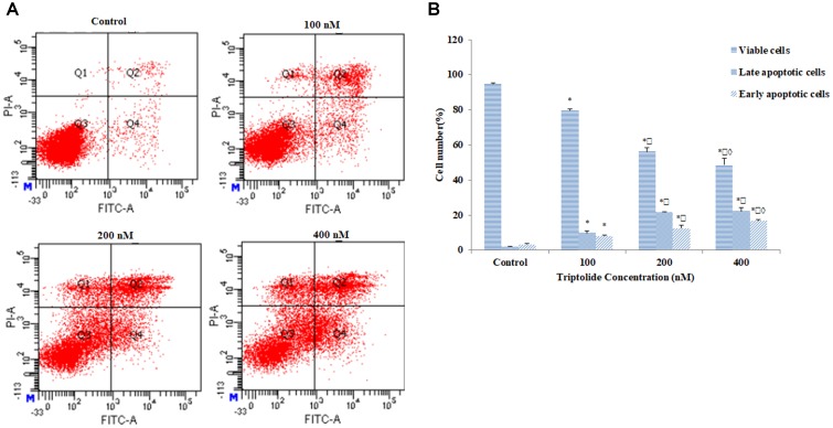 FIGURE 3