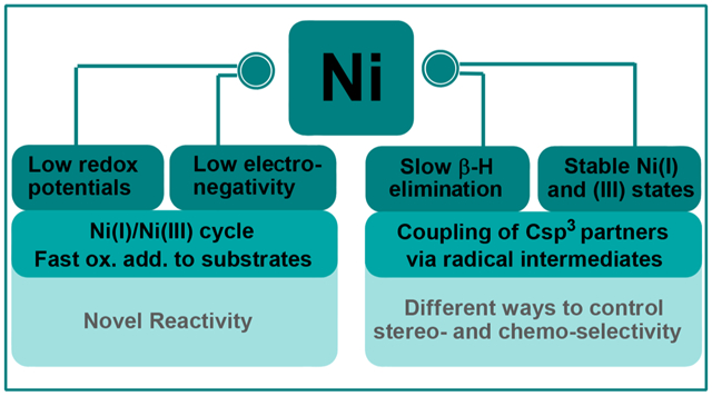 graphic file with name nihms-1674377-f0001.jpg