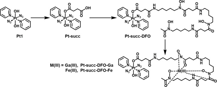 Scheme 1