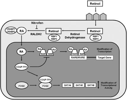 Figure  2. 