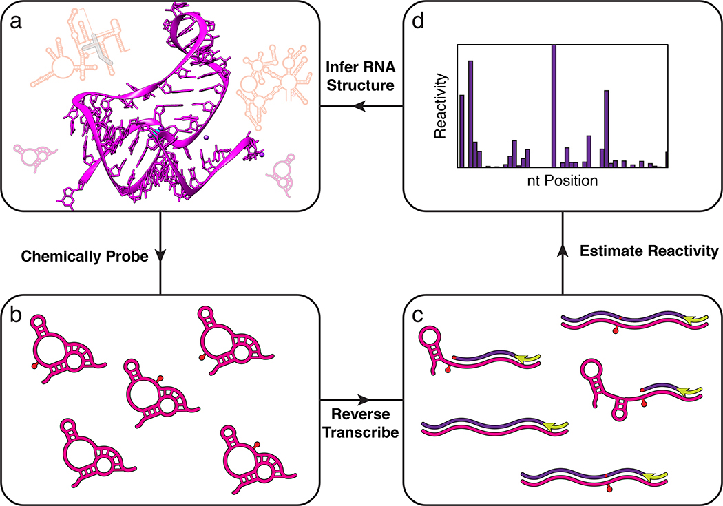 Figure 2 |