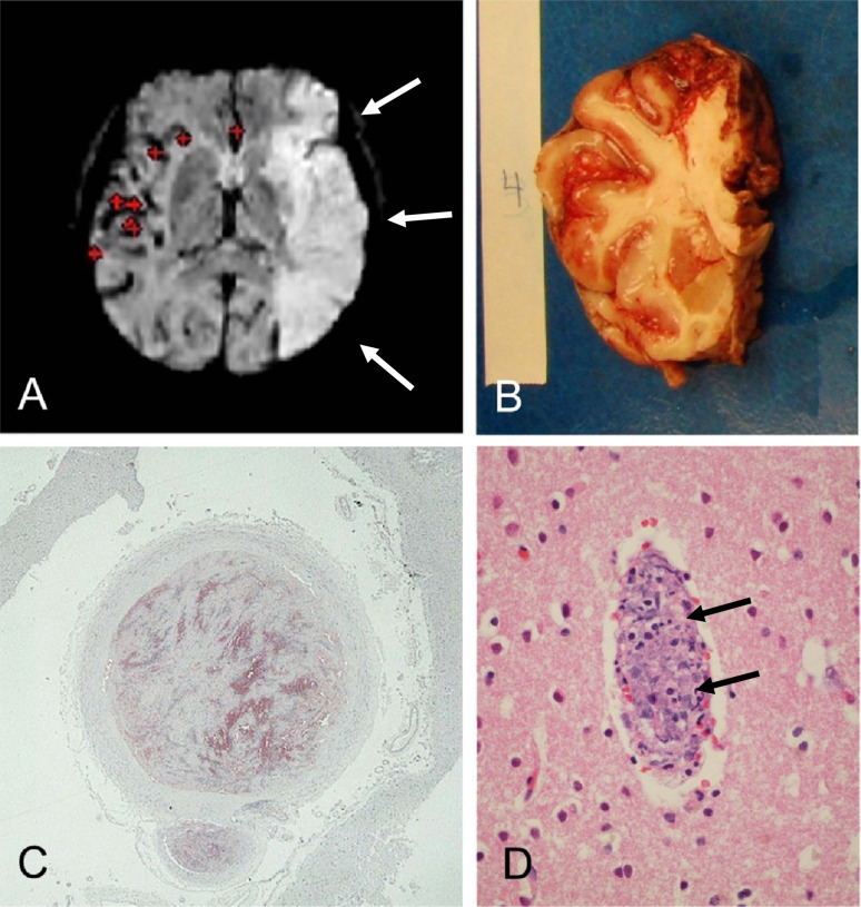 Figure 4.