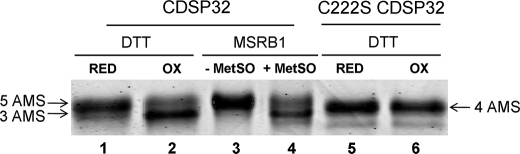 FIGURE 4.