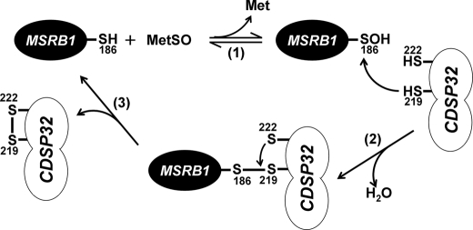 FIGURE 7.