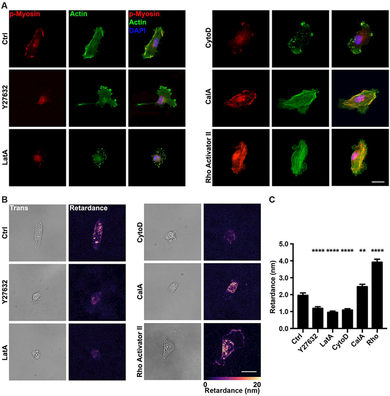 Figure 2 |