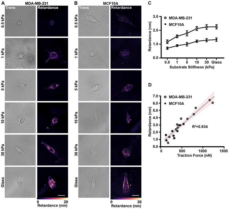 Figure 3 |