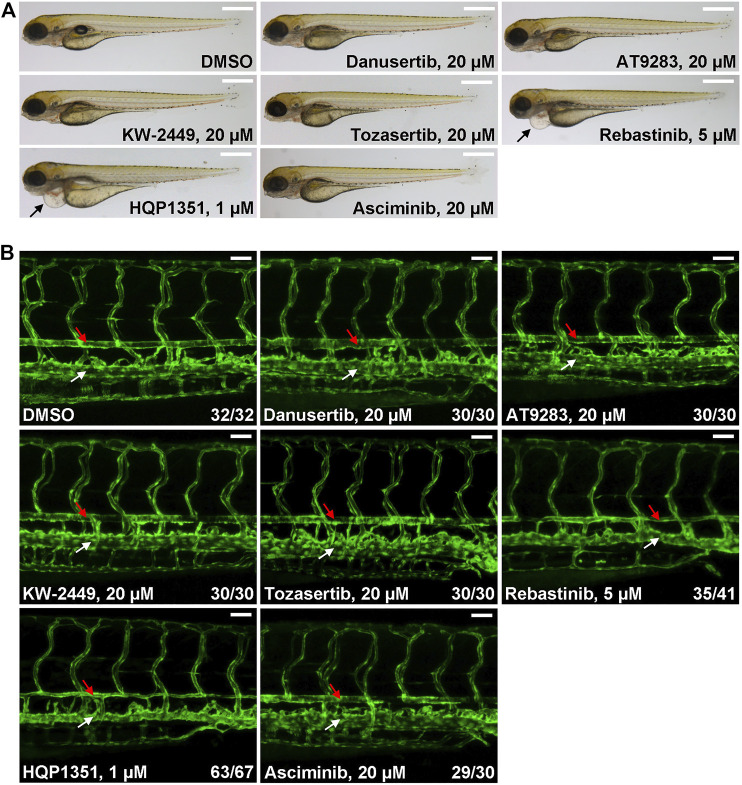 FIGURE 3