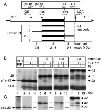 FIG. 5