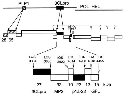 FIG. 6