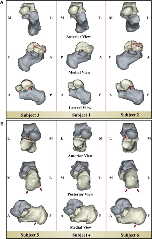 Figure 5