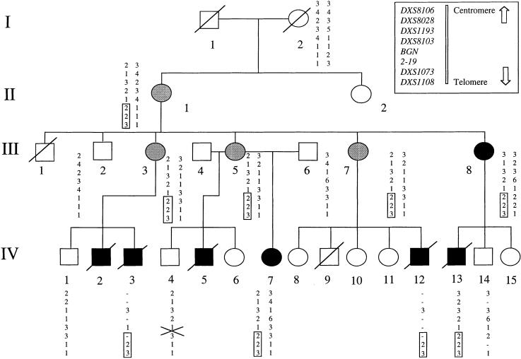 Figure  1