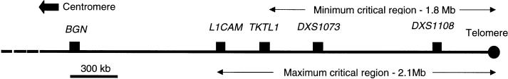 Figure  3