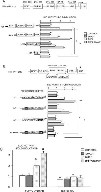 FIG. 6