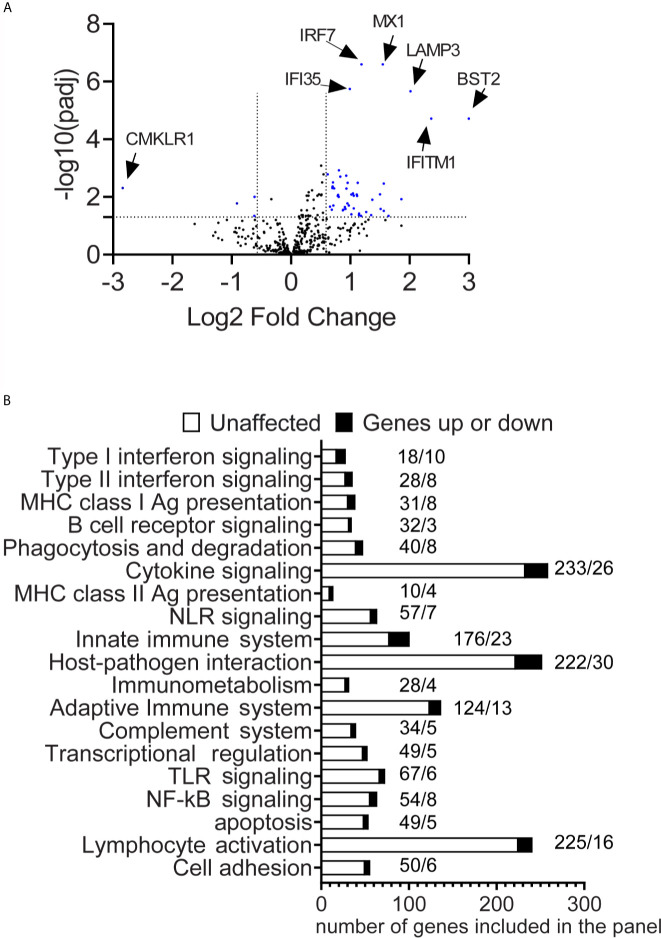 Figure 1