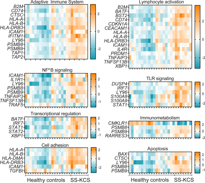 Figure 4