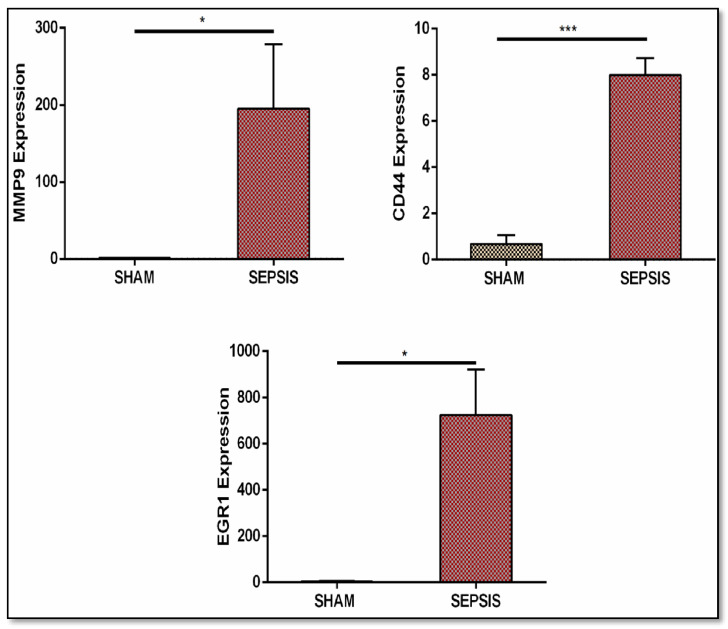 Figure 11