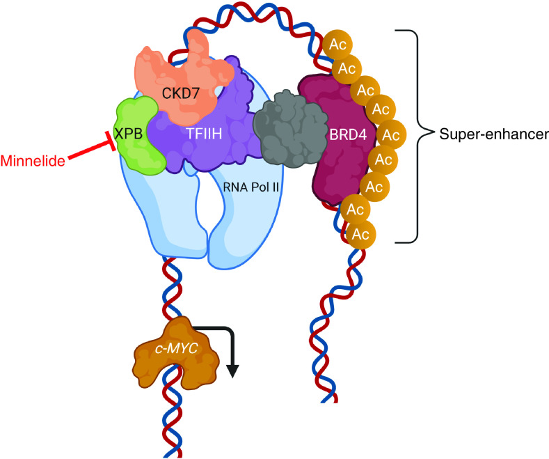 Figure 1. 