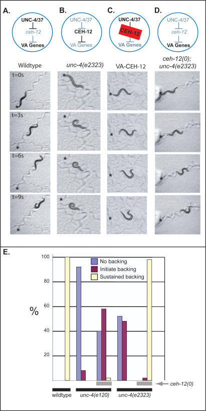 Figure 5.