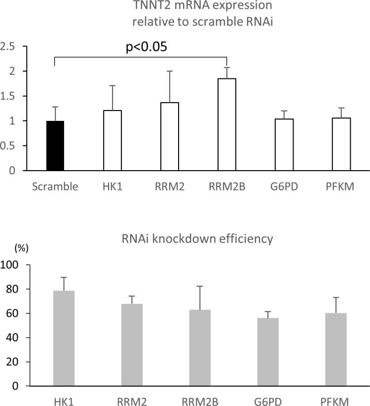 Figure 4—figure supplement 2.