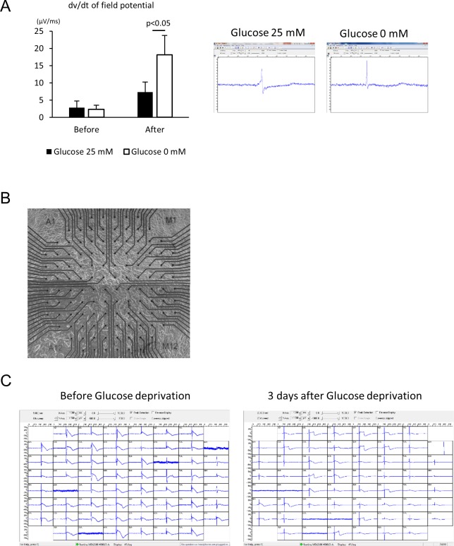 Figure 3—figure supplement 1.