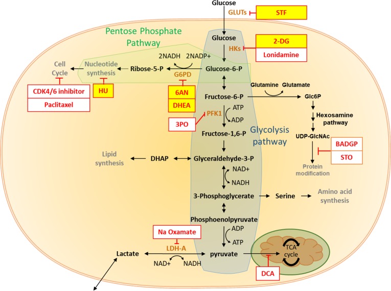 Figure 4—figure supplement 3.