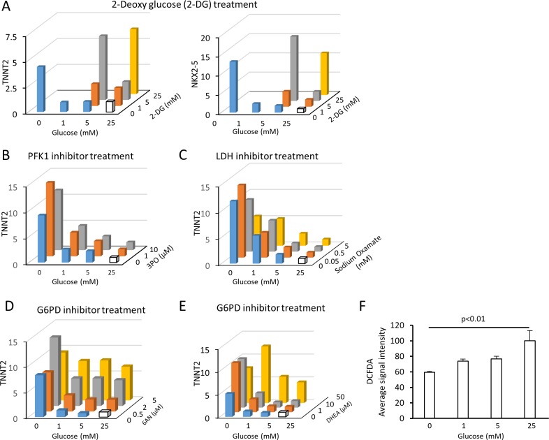 Figure 4—figure supplement 4.