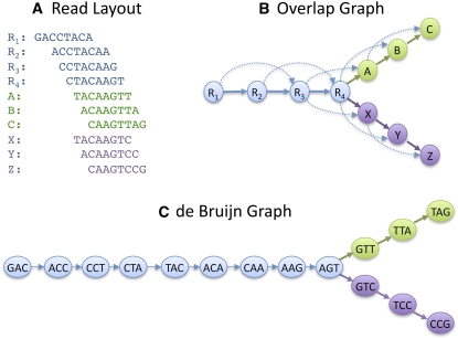 Figure 2.