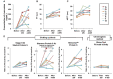 Fig.4. Plasma concentration of rivaroxaban and the changes in PT, APTT, and PS activity before and after rivaroxaban introduction