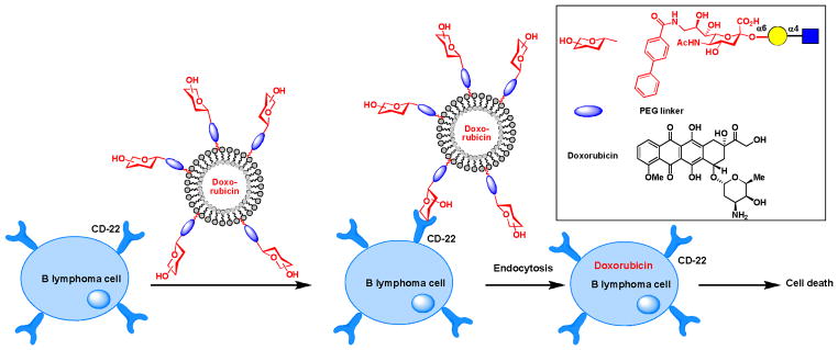 Scheme 7