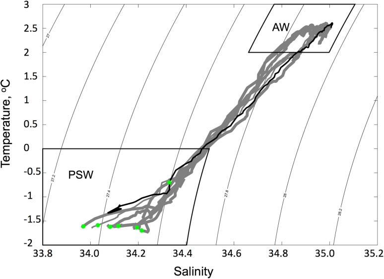 Fig. 8