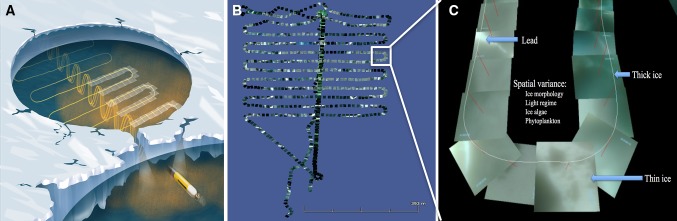 Fig. 3