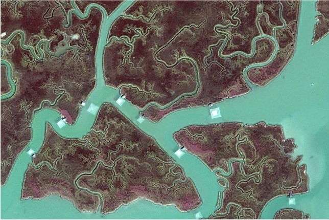 Fig. 1