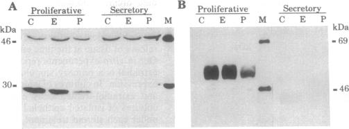 graphic file with name pnas01143-0476-a.jpg