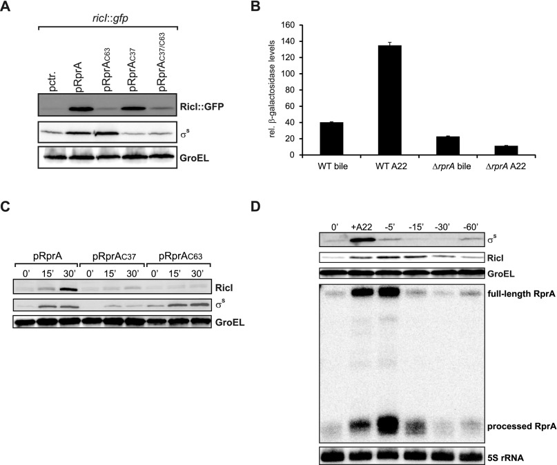 Fig. S4.