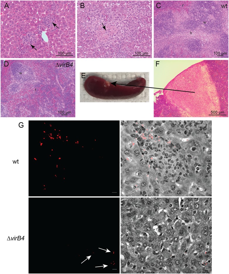 FIG 3