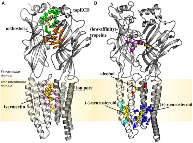 Fig. 2.