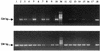 FIG. 5.