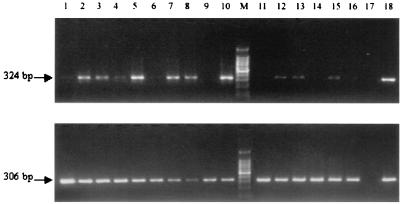 FIG. 5.