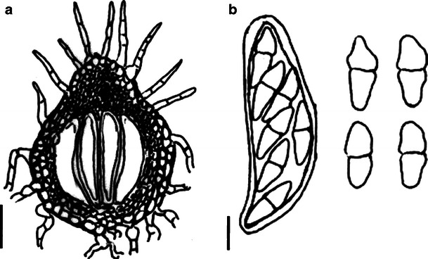 Fig. 53