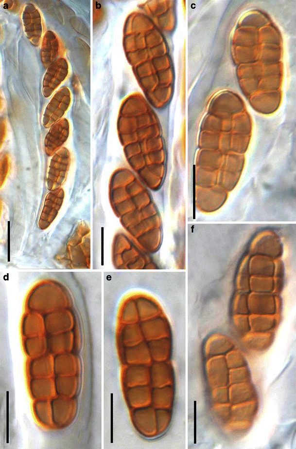 Fig. 46